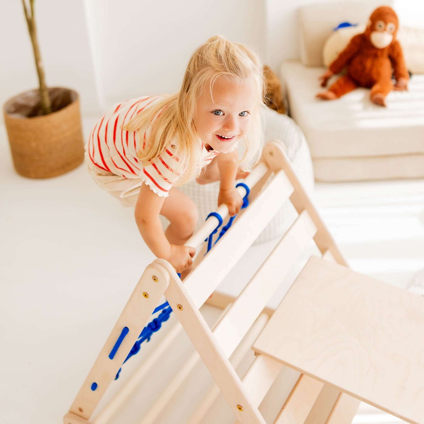 Small tiger climbing set