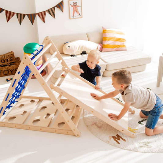 Sliding board / chicken ladder