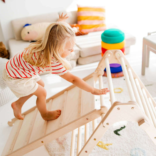 Sliding board / chicken ladder