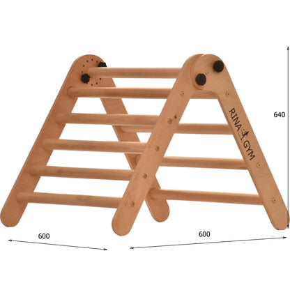 Climbing triangle BASIC with double ladder, various colours