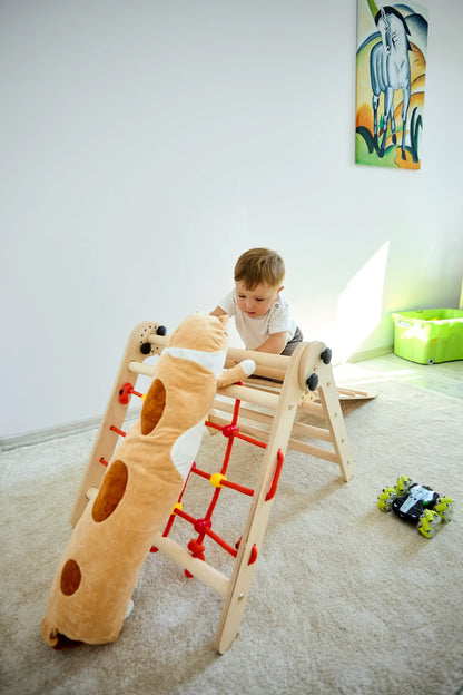 Climbing triangle BASIC with ladder, climbing net &amp; slide, various colours