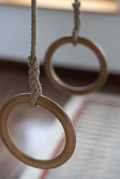 gymnastics rings