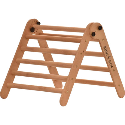 Climbing triangle BASIC with double ladder, various colours