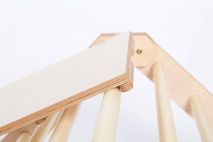 2-in-1-Rutsche / Rampe